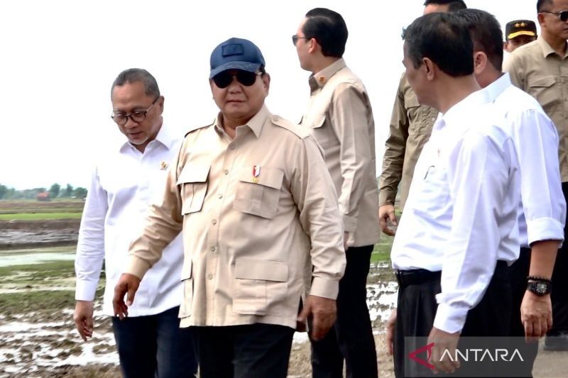Teknologi Modern Sulap Lahan Rawa Sumsel Jadi Lumbung Pangan Baru