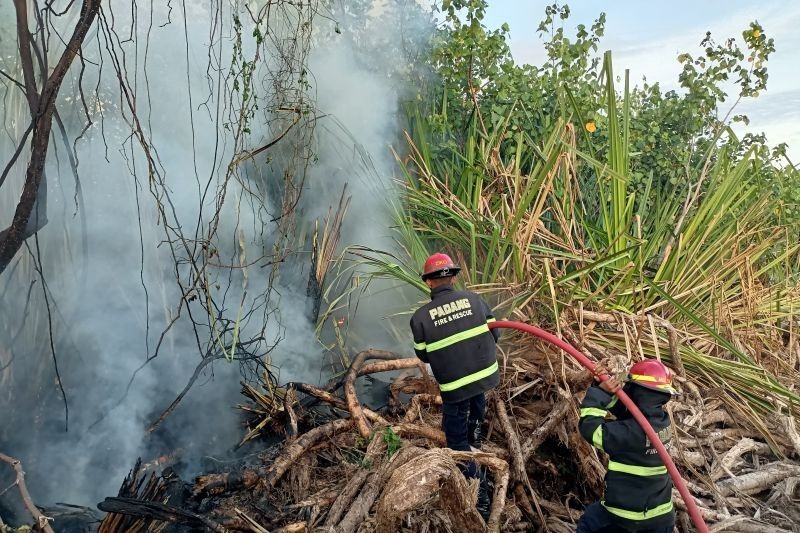 Kebakaran Lahan di Nanggalo, Padang: Lima Bangunan Selamat dari 'Si Jago Merah'