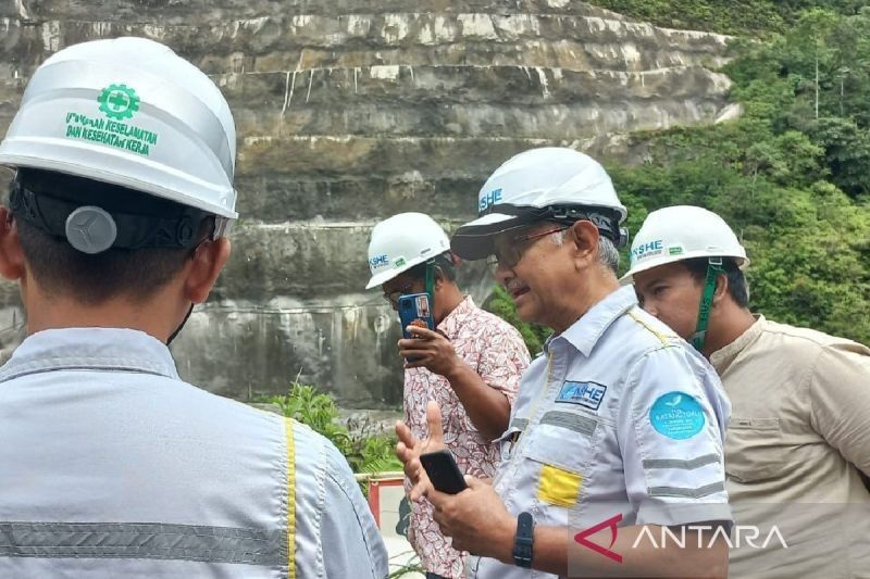 PLTA Batang Toru: Operasi Akhir 2025, Pasok Listrik Hijau Sumatera