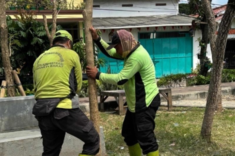 Jakbar Tanam 50 Pohon Tabebuya di Taman Sensori Kamal untuk Kurangi Polusi Udara