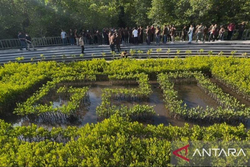 Tahura Ngurah Rai: Kawasan Mangrove G20 Segera Jadi Objek Wisata Premium