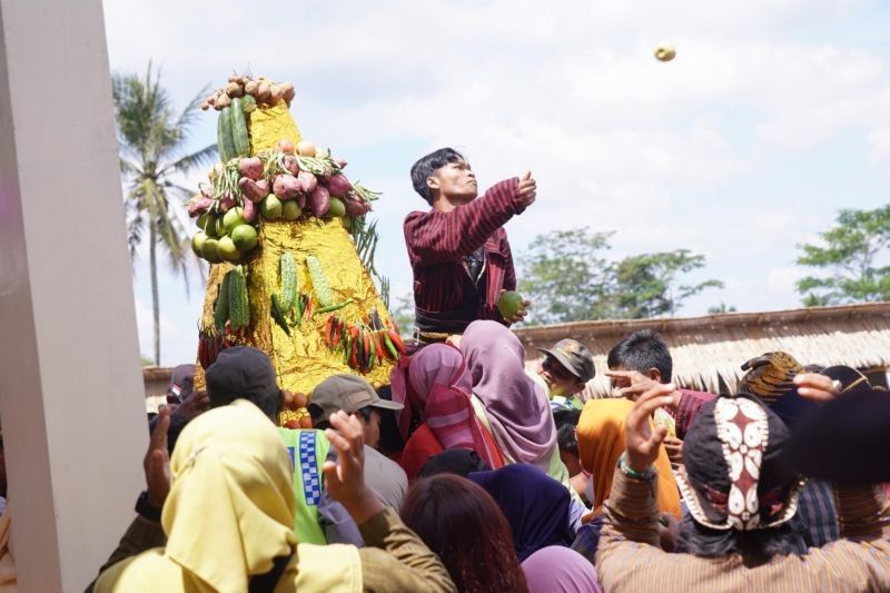 Tradisi Ngrowhod di Sleman: Melestarikan Alam dan Budaya Lokal