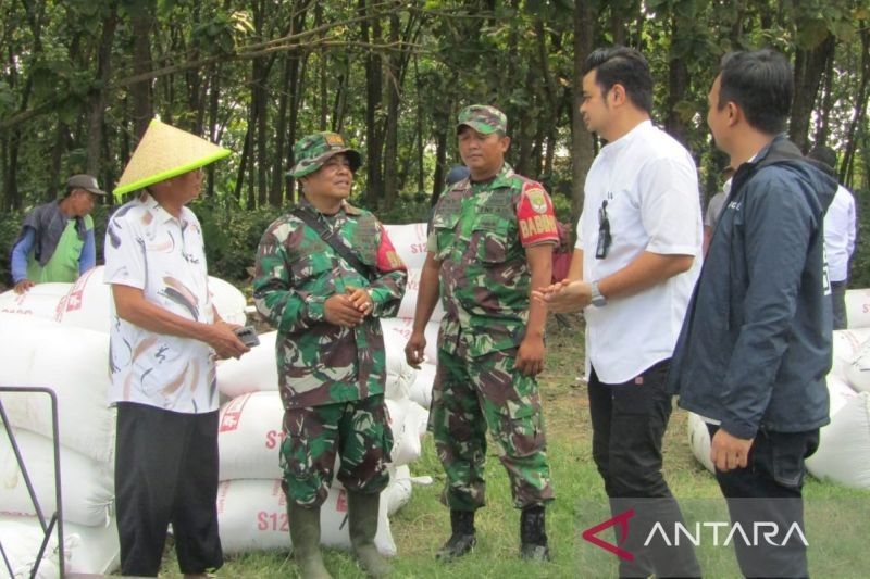Bulog Apresiasi Peran TNI Awasi Panen, Pastikan Petani Bekasi Untung