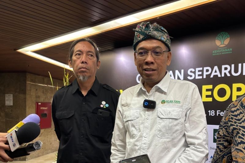 MA Batalkan Vonis Bebas Pelaku Perdagangan Cula Badak, Kemenhut Apresiasi