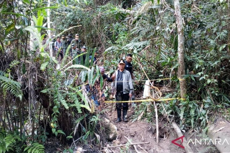 Pemkab Sigi Dirikan Pos Terpadu Cegah PETI di Lindu