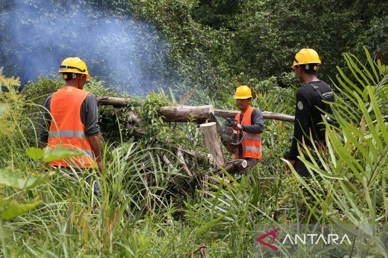 Cofiring Biomassa di Aceh Jaya: Buka Lapangan Kerja dan Dongkrak Ekonomi Lokal