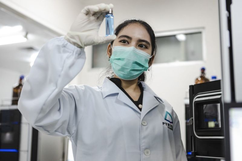Pyridam Farma Raih Lonjakan Pendapatan 173 Persen di 2024!