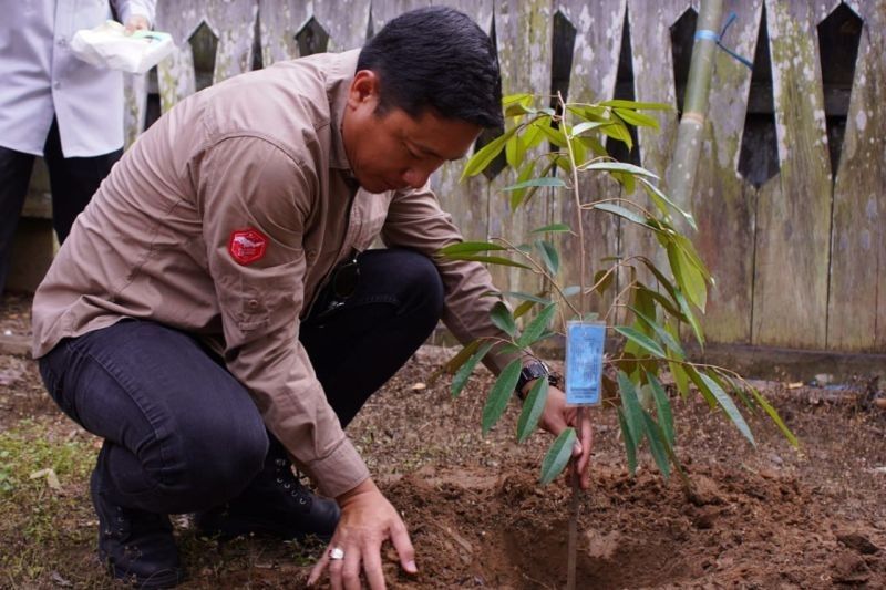 DPMPD Kaltim Dorong Desa Wisata Wehea dengan Bibit Buah Unggul