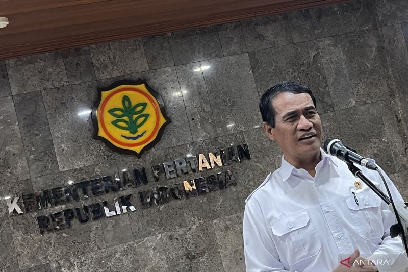 Produksi Beras Nasional Tembus 1 Juta Ton di April 2025, Mentan Amran Sulaiman: Berita Gembira!