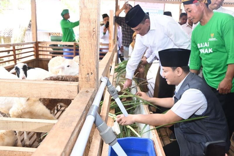 BAZNAS Luncurkan Balai Ternak Barokah Farm di Trenggalek, Berdayakan Peternak Domba
