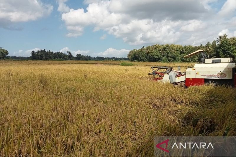 Ribuan Pompa Air Siap Antisipasi Kemarau di Bantul