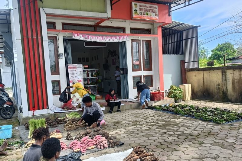 Toko Tani Indonesia: Solusi Pemasaran Hasil Kebun Petani OAP Mimika