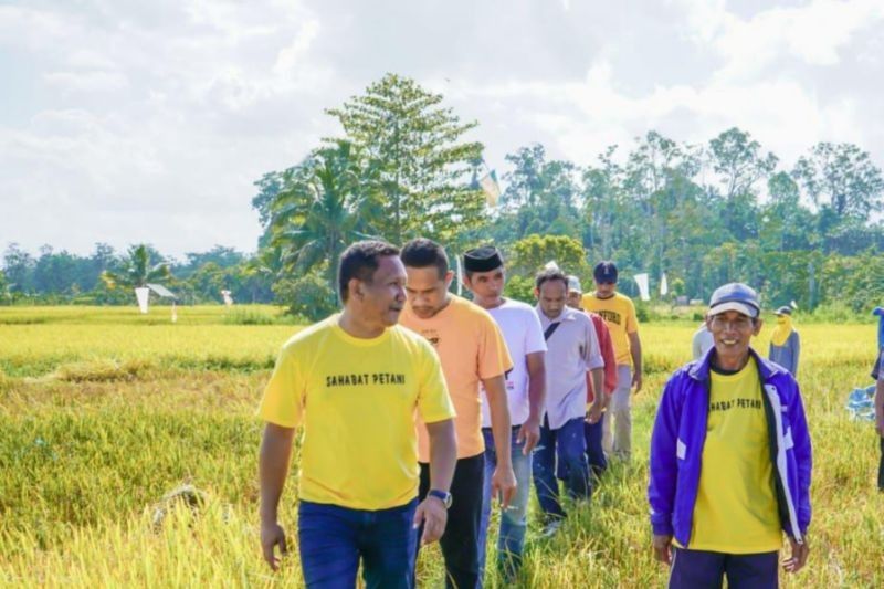 Muna Barat Siapkan 22.500 Kg Benih Jagung Kuning, Bulog Siap Tampung Hasil Panen