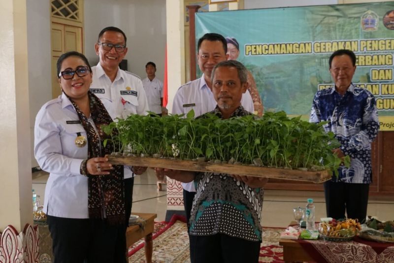 Gunungkidul Canangkan Gerbang Pagi: Gerakan Ketahanan Pangan untuk Keluarga