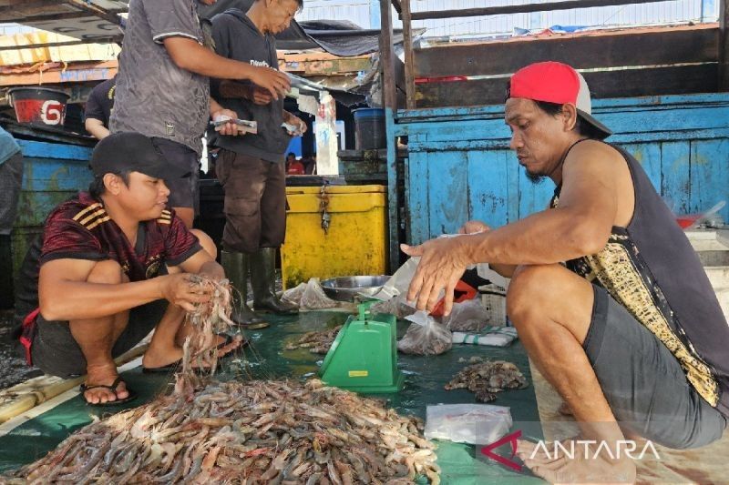 Pemprov Papua Fokus Kembangkan 5 Langkah Jitu Majukan Perikanan