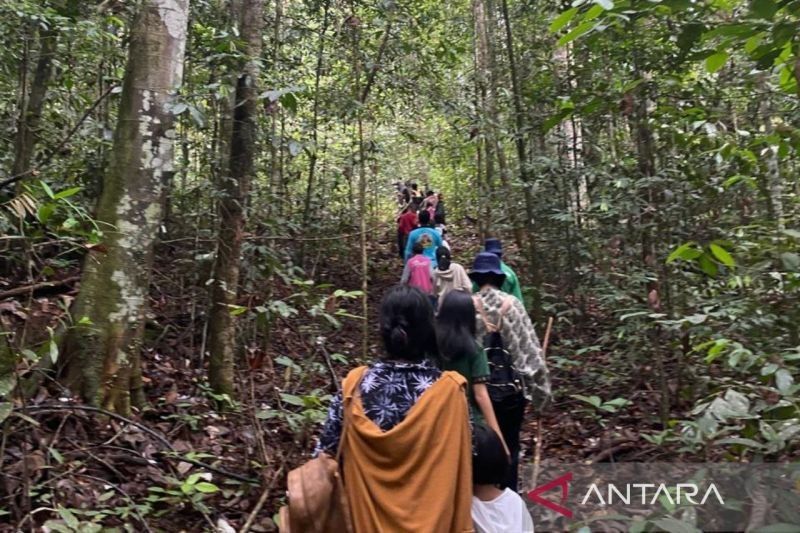 Kemenhut Dukung Penuh Penambahan Kelompok Usaha Perhutanan Sosial di Hutan Adat