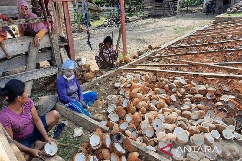 Harga Kopra Hitam di Kendari Tembus Rp20.000 per Kilogram!