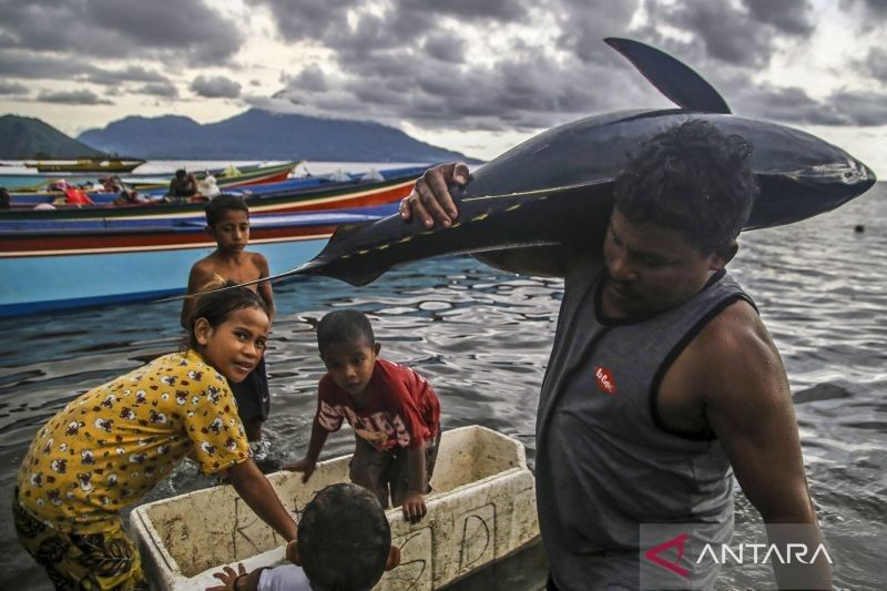 Indonesia: Produsen Tuna Terbesar Dunia, Raih 15 Persen Pangsa Pasar Global