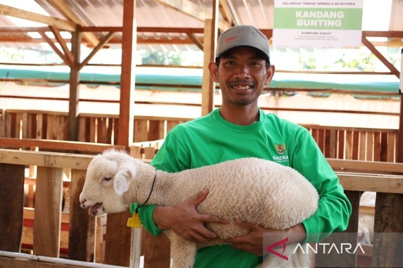 Baznas Luncurkan Program Balai Ternak di Mojokerto untuk Entaskan Kemiskinan