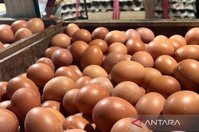 Harga Bawang Merah Turun, Tapi Telur Ayam Naik! Ini Update Harga Pangan Terbaru