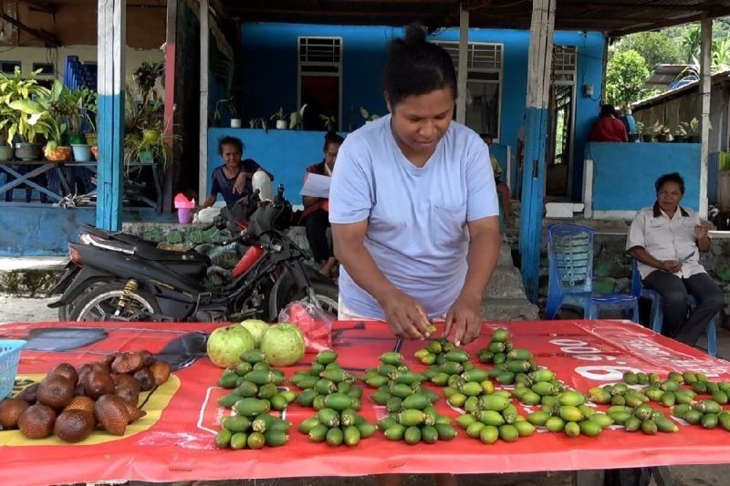 Dana Otsus Papua Tahap Pertama Diharapkan Cair Mei 2025
