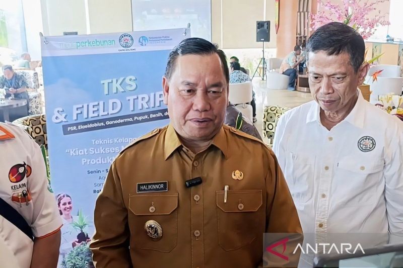 Kotim Berupaya Optimalkan Akses Air Bersih untuk Cegah Serangan Buaya