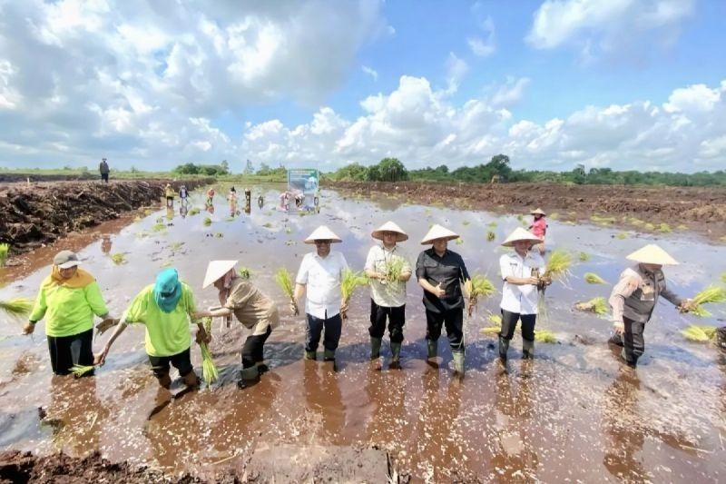 BPBD Kotim Antisipasi Kekeringan untuk Dukung Swasembada Pangan