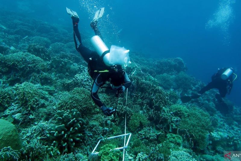 Ekspedisi Pemprov Maluku: Jaga Laut Teon, Nila, Serua untuk Perikanan Berkelanjutan