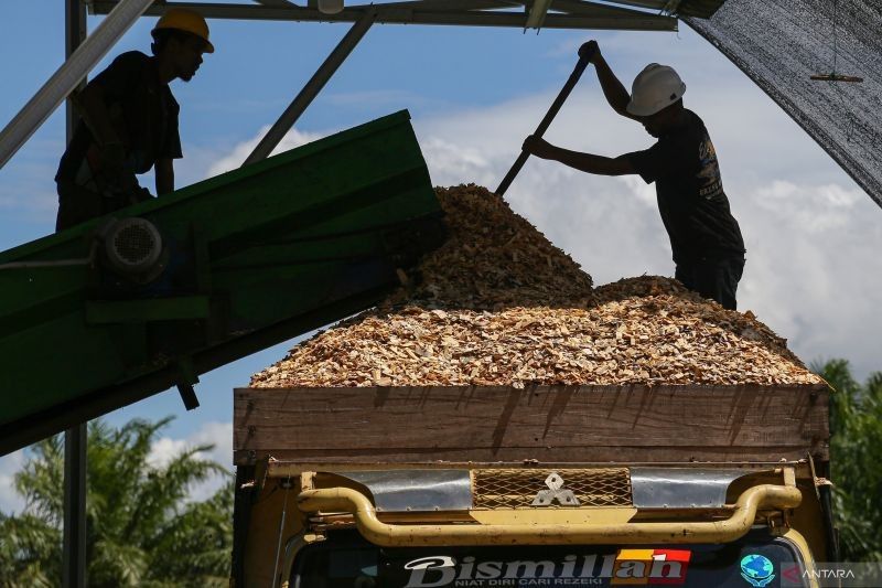 Tragedi Berulang: Kecelakaan Kerja di Indonesia dan Sistem Perlindungan yang Rapuh