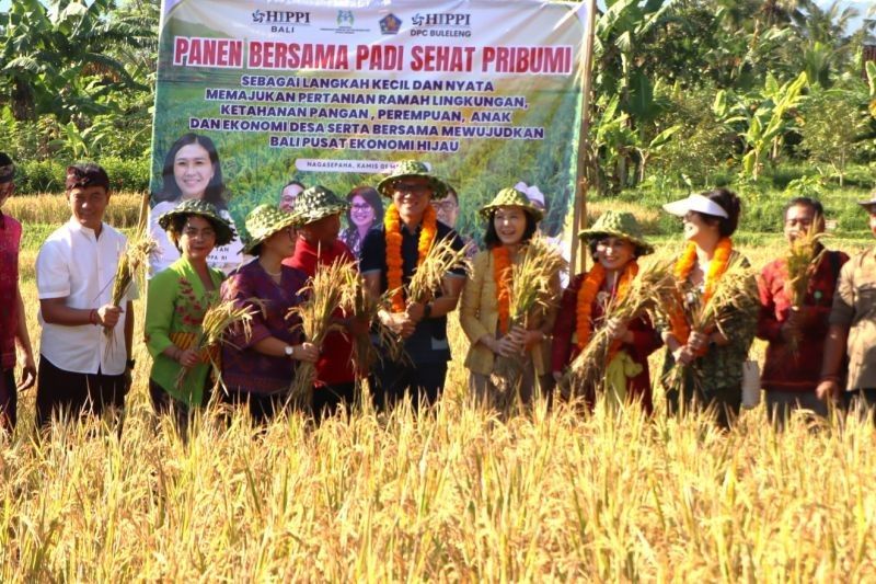 Wamen PPPA Panen Padi di Buleleng, Dorong Ketahanan Pangan untuk Masa Depan Anak Bangsa