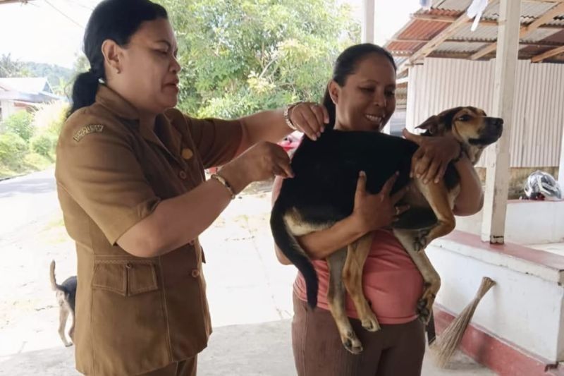 7.000 Dosis Vaksin Rabies Tambahan untuk Hewan di Ambon