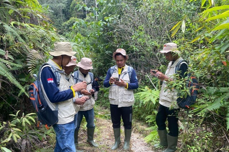 BKSDA Sumbar dan SINTAS Bentuk Patroli Anak Nagari Cegah Konflik Harimau Sumatera