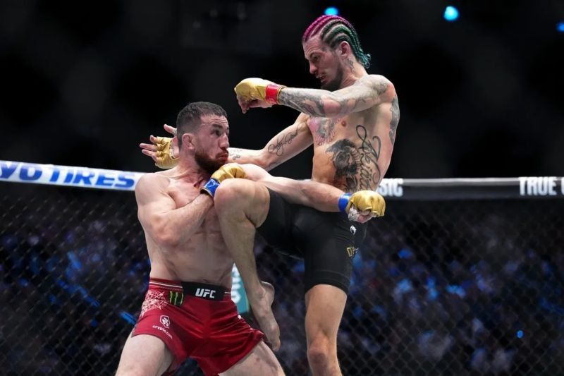 UFC 316: Duel Perebutan Gelar Bantam di New Jersey, Dvalishvili vs O'Malley dan Peña vs Harrison!
