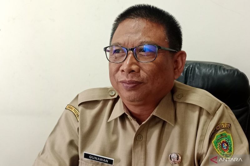 Hasil Panen Padi Penajam Paser Utara Melonjak Signifikan, Lampaui Target Nasional!