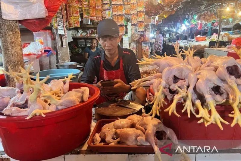 Harga Daging Ayam Naik, Cabai Rawit Merah Turun: Bapanas Catat Pergerakan Harga Pangan Terbaru