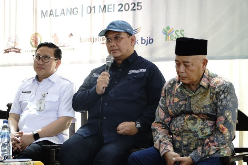Ombudsman RI: Stop Impor Daging Kambing Lindungi Peternak Lokal