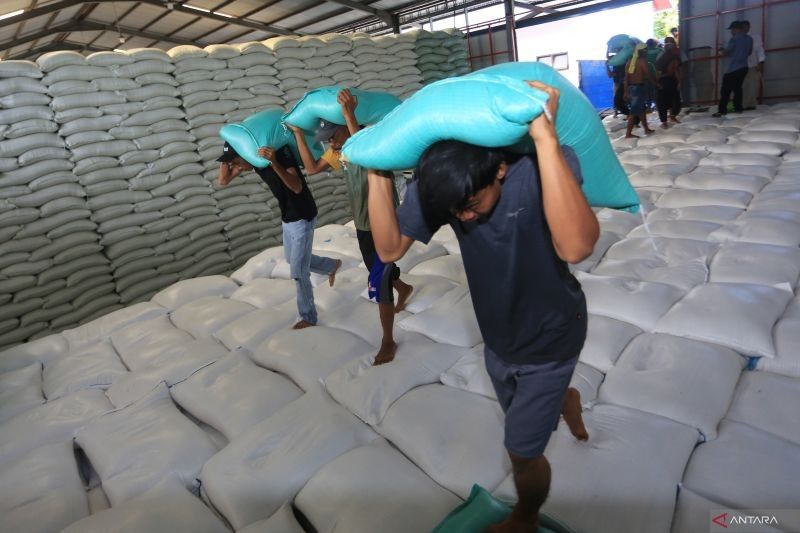 Harga Beras Premium Turun di April 2025, Sentuh Rp13.047 per Kilogram