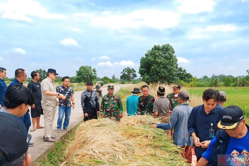 Stok Beras Aman Jelang Idul Adha, Bulog OKU Raya Pastikan Cukup hingga 2025