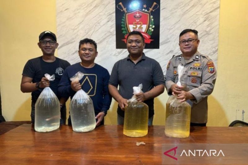 Polsek Pelabuhan Manado Gagalkan Penyelundupan 50 Liter Miras Cap Tikus