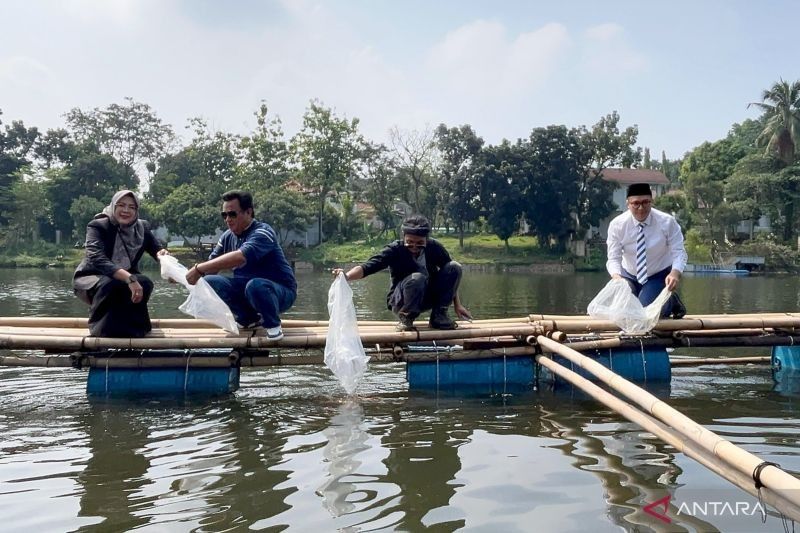 Ribuan Bibit Ikan Nila Ditebar di Situ Plaza Cibinong, Panen Raya di Hari Jadi Bogor ke-543