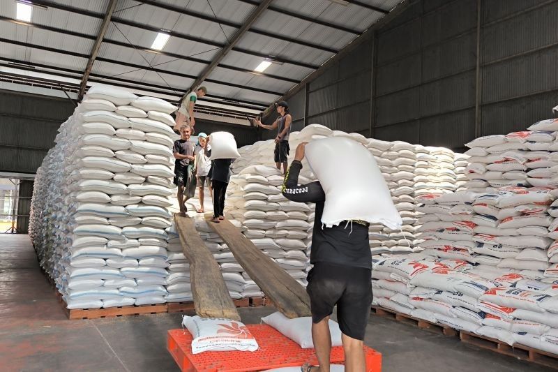 Bulog Jatim Sewa Gudang Tambahan, Antisipasi Lonjakan Gabah saat Panen Raya