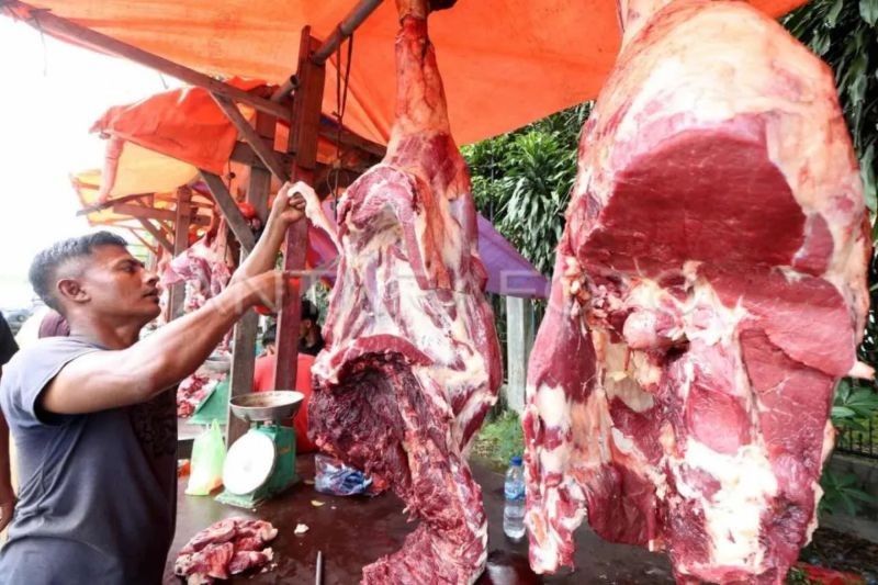 Penghapusan Kuota Impor: Solusi Percepat Pemenuhan Kebutuhan Daging Sapi di Indonesia?