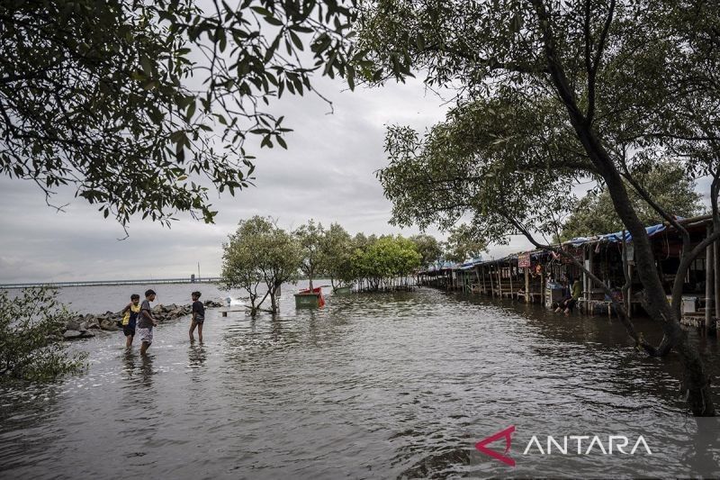 Indonesia Mulai Rancang Rencana Adaptasi Nasional untuk Perubahan Iklim