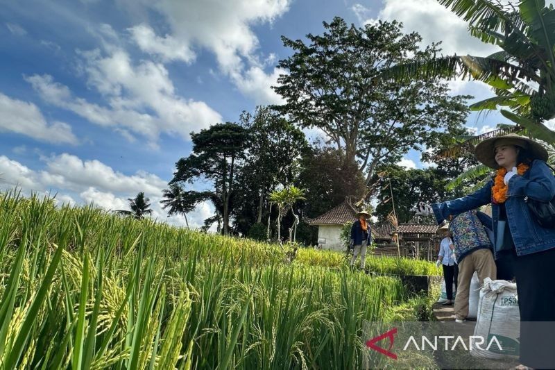 Pertamina Perkenalkan Desa Energi Berdikari Bali kepada Jurnalis Aljazair