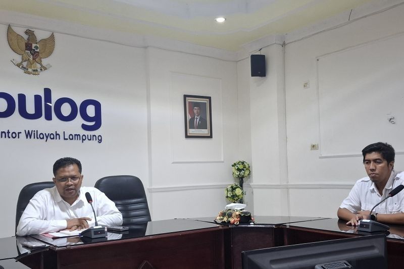 Bulog Lampung Sewa 40 Gudang Baru, Gudang Gabah Penuh!