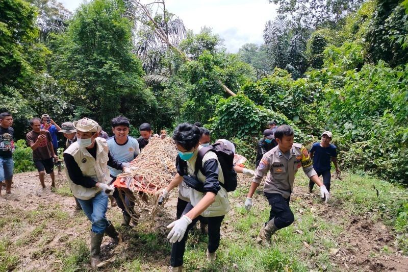 BKSDA Sumbar Tangani 11 Konflik Satwa Liar di Agam dalam Empat Bulan