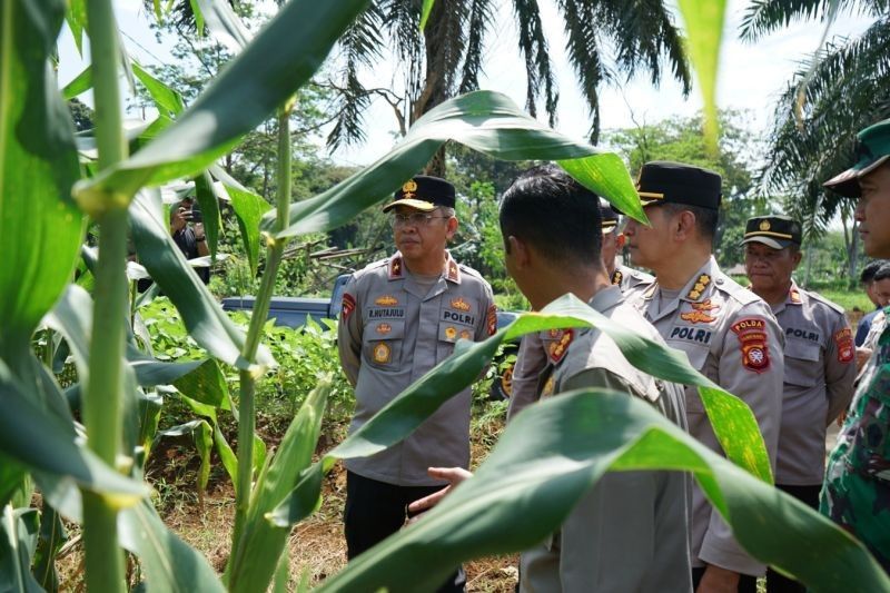 Sinergi TNI-Polri Dongkrak Ketahanan Pangan Nasional di Bengkayang