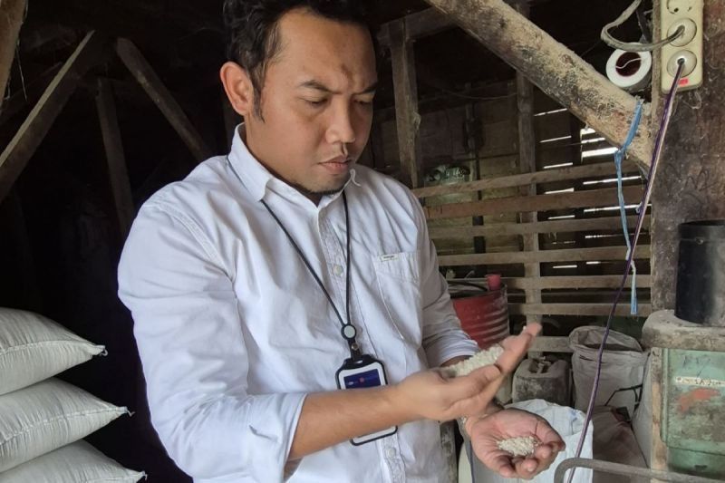 Target Serapan Beras Bulog Rejang Lebong Meningkat Jadi 888 Ton