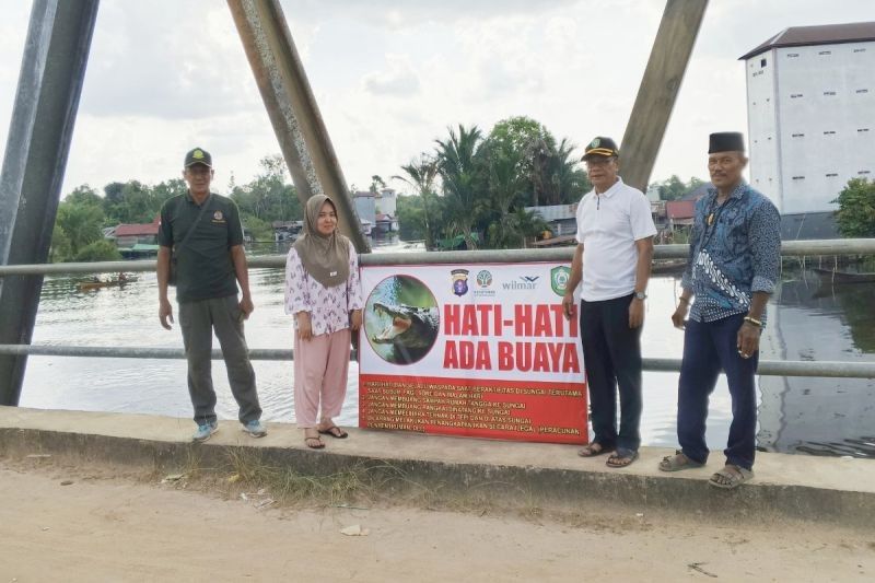 Serangan Buaya di Sampit: BKSDA Observasi Lokasi dan Imbau Warga