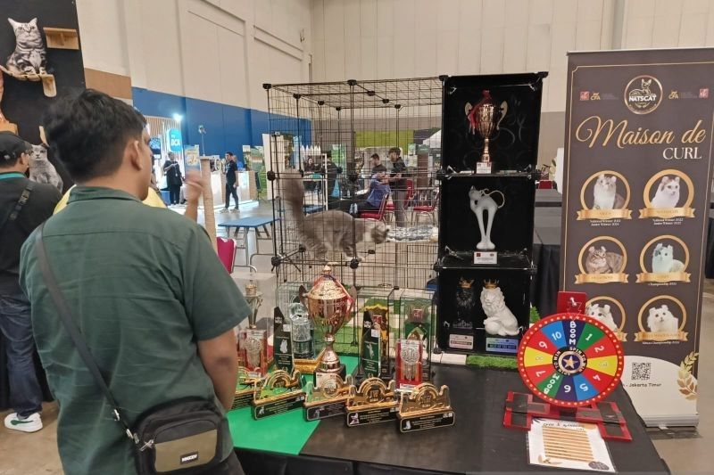 PetFest 2025: Ribuan Pengunjung Padati Festival Hewan Peliharaan di ICE BSD